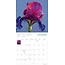 Blooms de Nel Whatmore Calendrier 2025