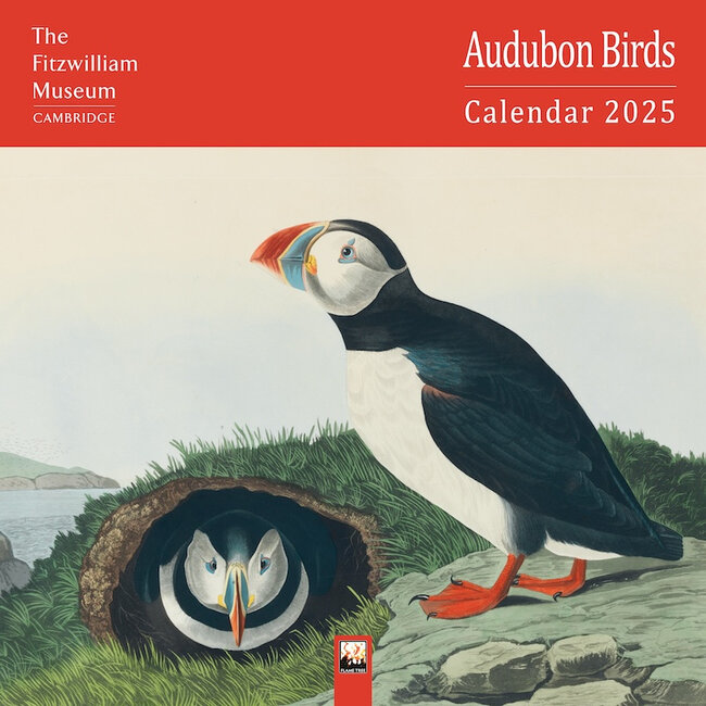 Flame Tree Calendario degli uccelli Audubon 2025