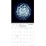 Astronomía Fotógrafo Calendario 2025