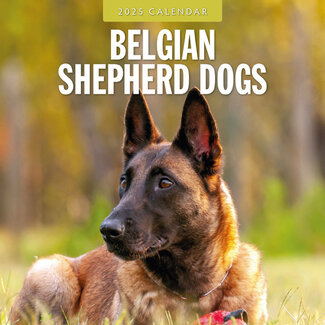 Red Robin Belgian Shepherd Calendar 2025