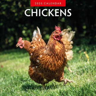 Red Robin Chickens Calendar 2025