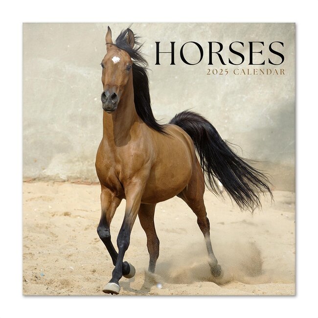Buy Horse Calendar 2025? Order online quickly and easily Kalenderwinkel.nl