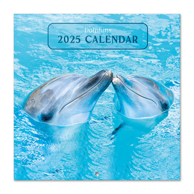 Buying Dolphin Calendar 2025 simply order online Kalenderwinkel.nl