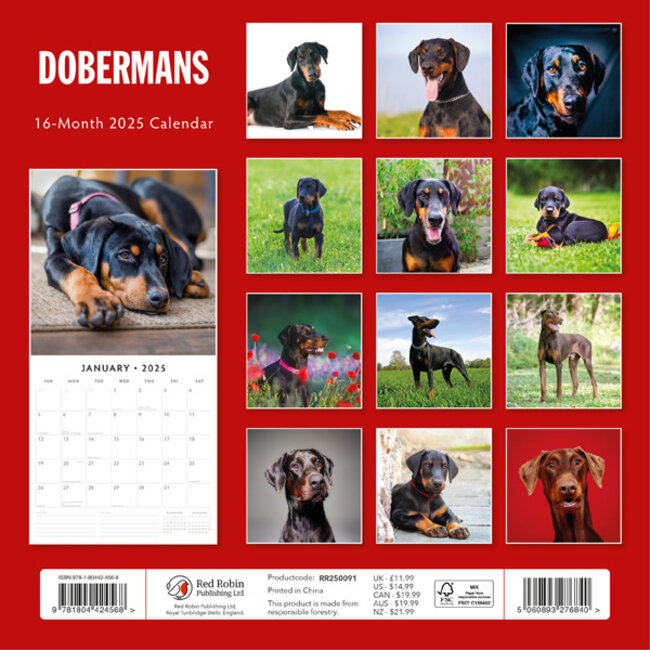 Buy Doberman Calendar 2025 Order easily online Kalenderwinkel.nl