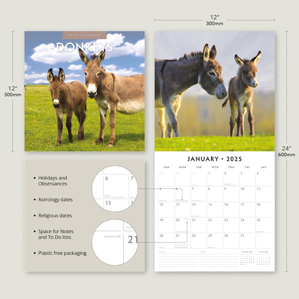 Buy Donkey Calendar 2025? Quick and easy online Kalenderwinkel.nl