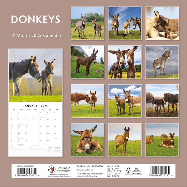 Buy Donkey Calendar 2025? Quick and easy online Kalenderwinkel.nl