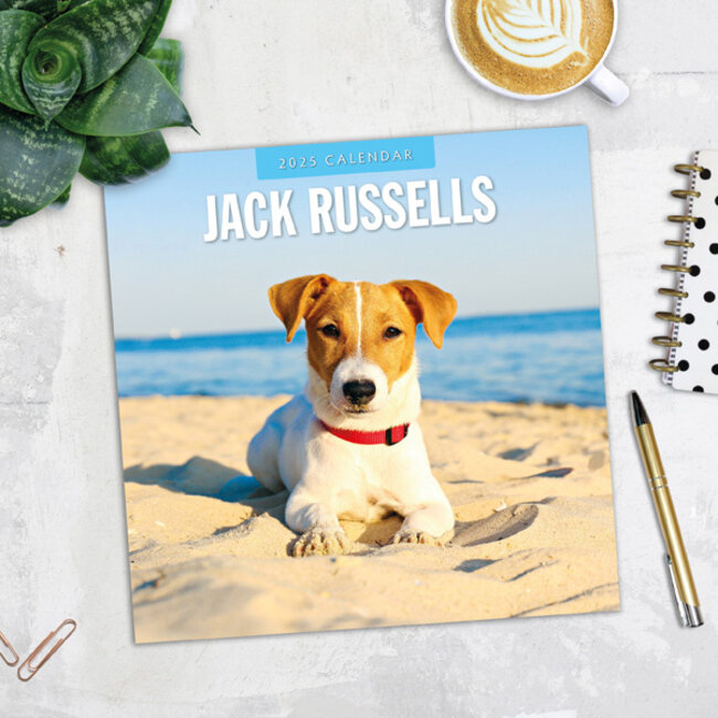 Jack Russell Terrier Calendar 2025 Buy Order easily online