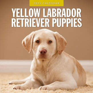 Red Robin Labrador Retriever Blonde Chiots Calendrier 2025