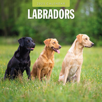 Red Robin Labrador Retriever Mischling Kalender 2025