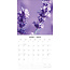 Lavender Calendar 2025