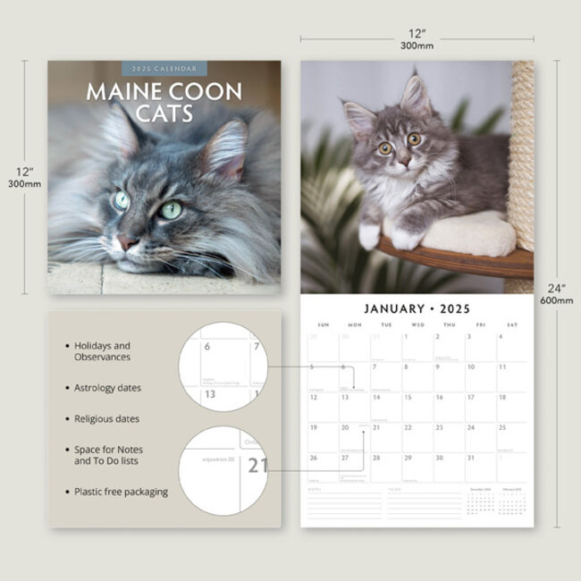 Buying Maine Coon Calendar 2025? Quick and easy online Kalenderwinkel.nl