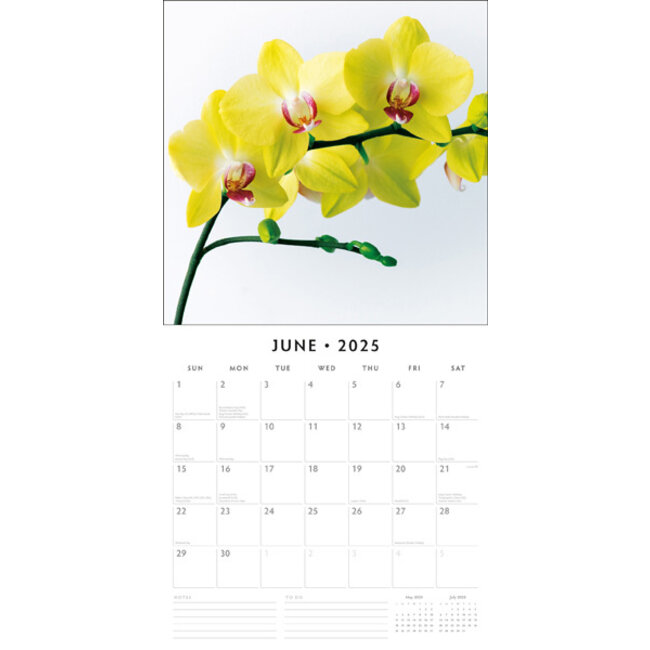 Buying Orchid Calendar 2025? Quick and easy online Kalenderwinkel.nl