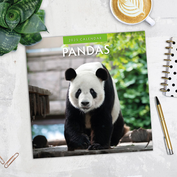 Panda Kalender 2025 Kopen? Eenvoudig en snel online besteld ...