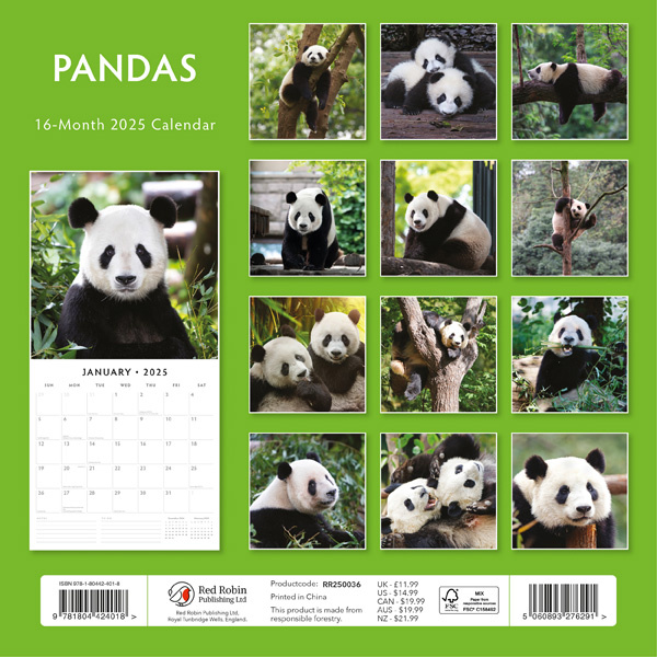 Panda Kalender 2025 Kopen? Eenvoudig en snel online besteld