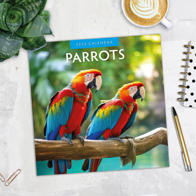 Buy Parrot Calendar 2025? Quick and easy online Kalenderwinkel.nl