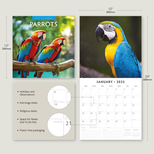 Buy Parrot Calendar 2025? Quick and easy online Kalenderwinkel.nl
