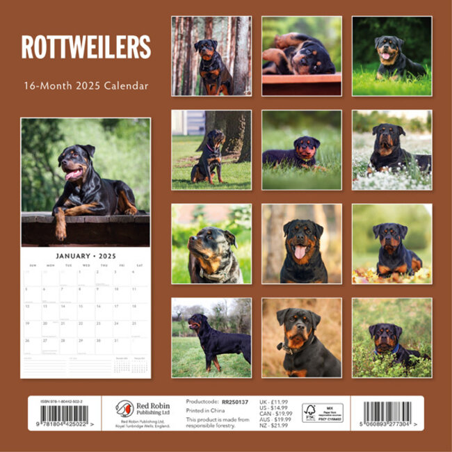 Buying Rottweiler Calendar 2025 Order easily online Kalenderwinkel.nl