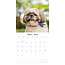 Shih Tzu Calendar 2025