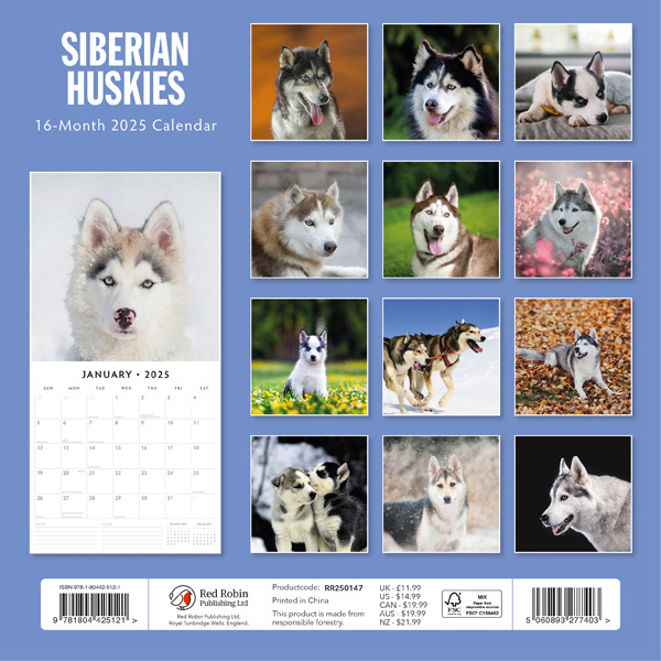 Siberian Husky Kalender 2025 Kopen? Eenvoudig en snel online besteld Kalenderwinkel.nl
