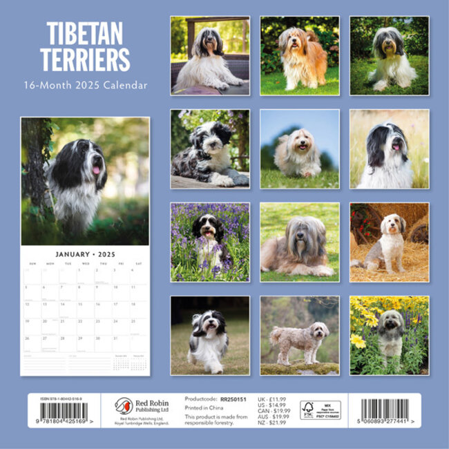 Buying Tibetan Terrier Calendar 2025? Quick and easy online Kalenderwinkel.nl