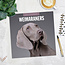 Weimaraner Kalender 2025