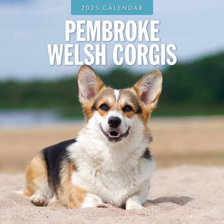 Red Robin Calendrier Welsh Corgi Pembroke 2025