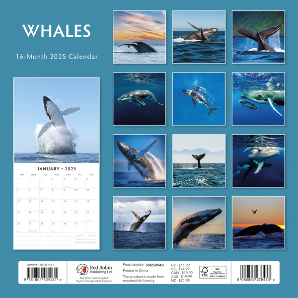 Buying Whales Whales Calendar 2025? Quick and easy online