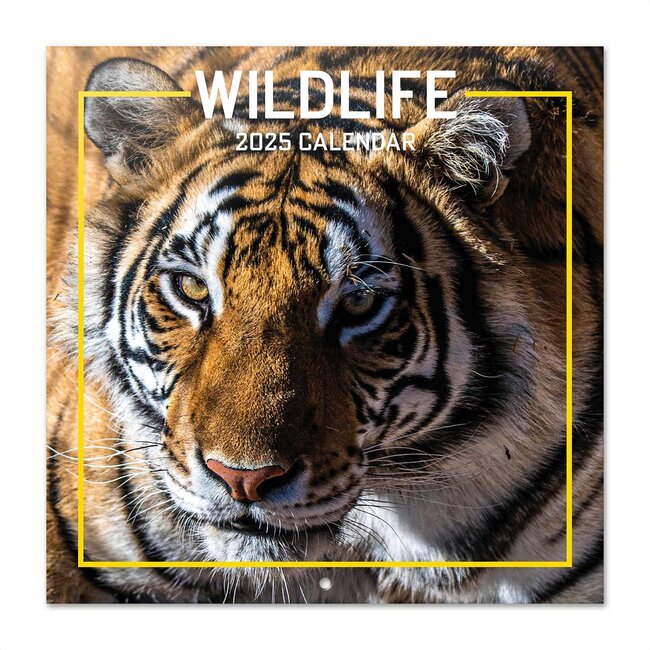 Wildlife calendar 2025