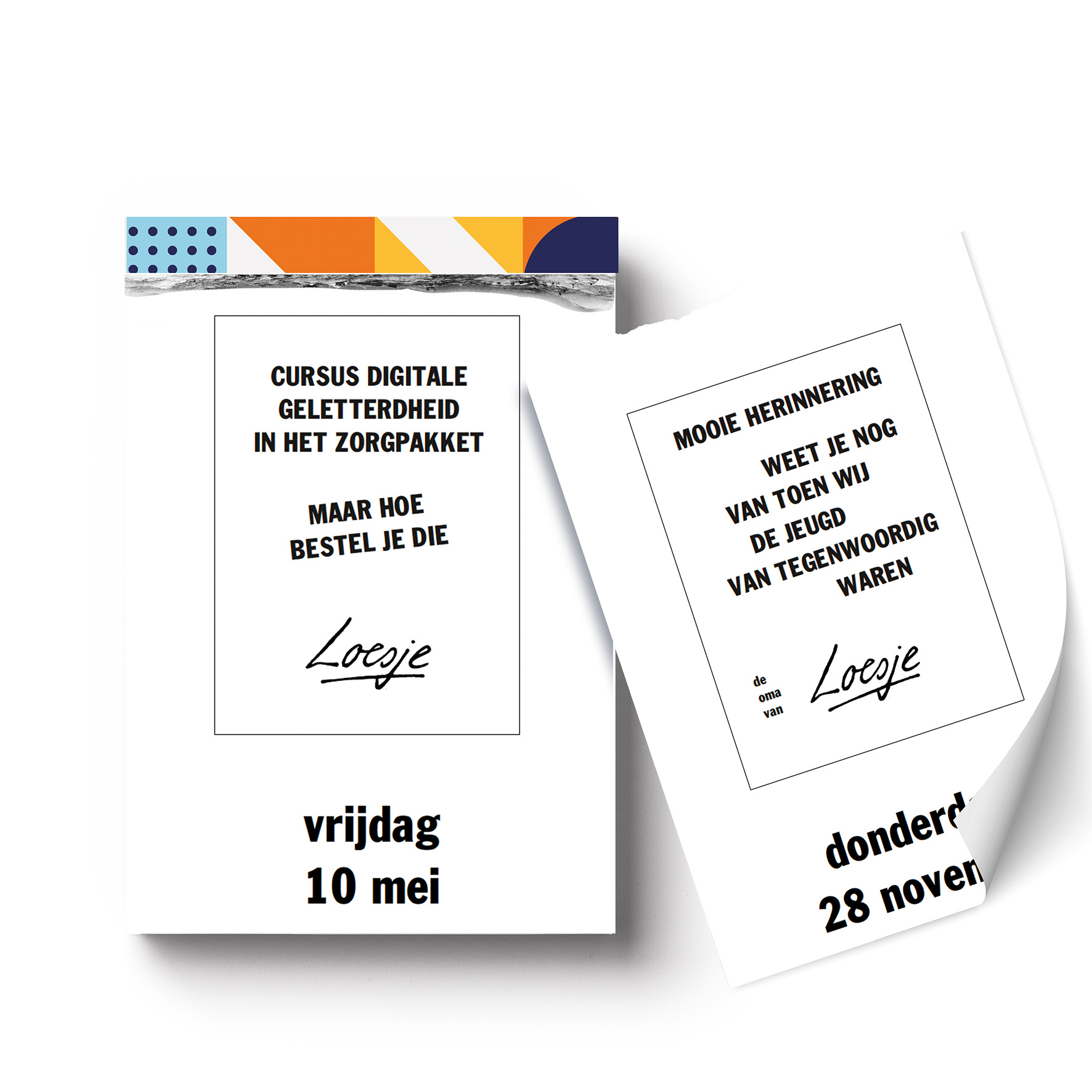 Loesje Scheurkalender 2025 Kopen? Bestel eenvoudig Online