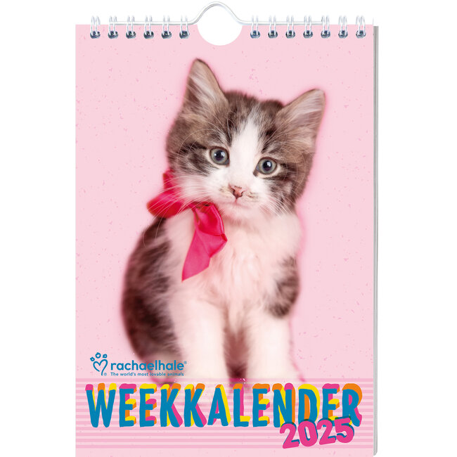 Inter-Stat Rachael Hale Kittens Weekly Calendar 2025