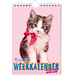 Inter-Stat Rachael Hale Kittens Weekly Calendar 2025