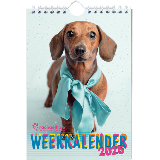 Rachael Hale Puppies Weekly Calendar 2025