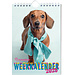 Inter-Stat Rachael Hale Puppies Wochenkalender 2025