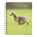 Bekking & Blitz Netherlands Natural Land Weekly Diary 2025