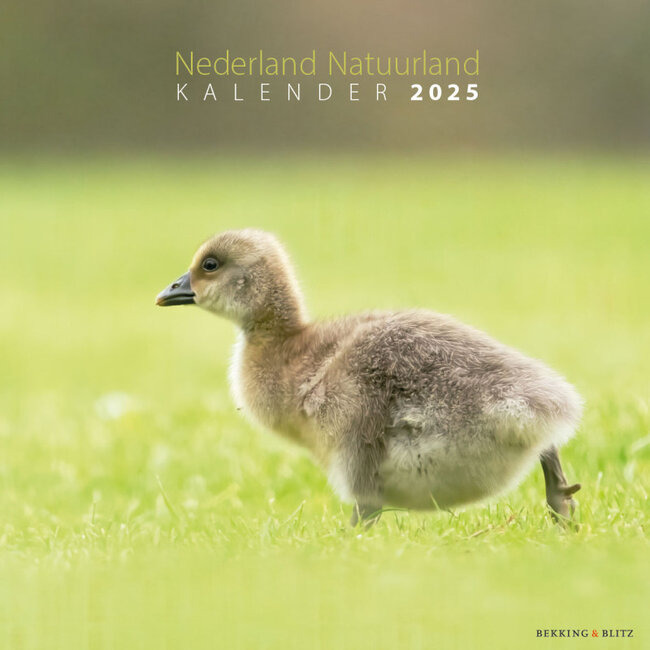 Bekking & Blitz Calendario del Suelo Natural de los Países Bajos 2025
