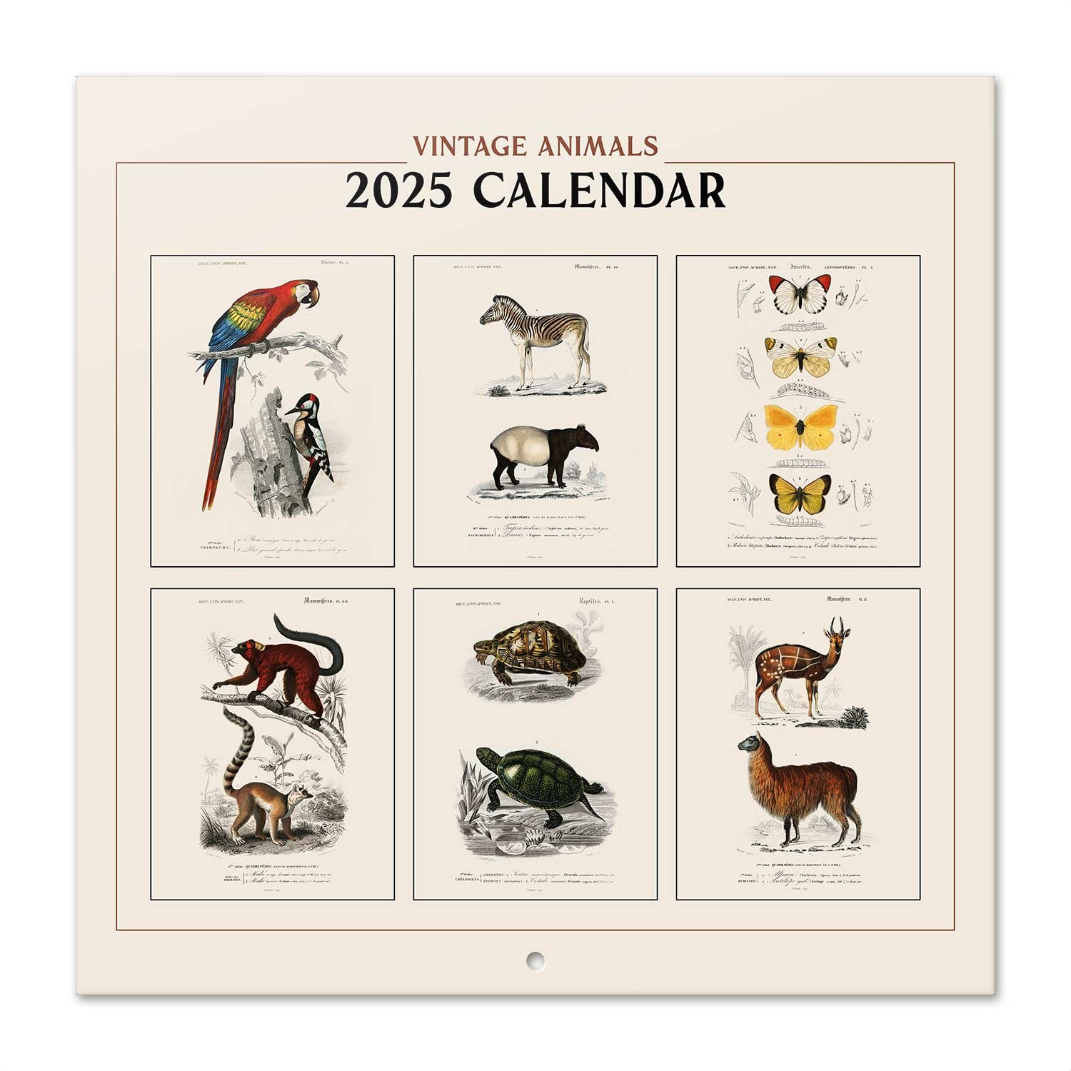 Vintage Dieren Kalender 2025 Kopen? Bestel eenvoudig en snel online