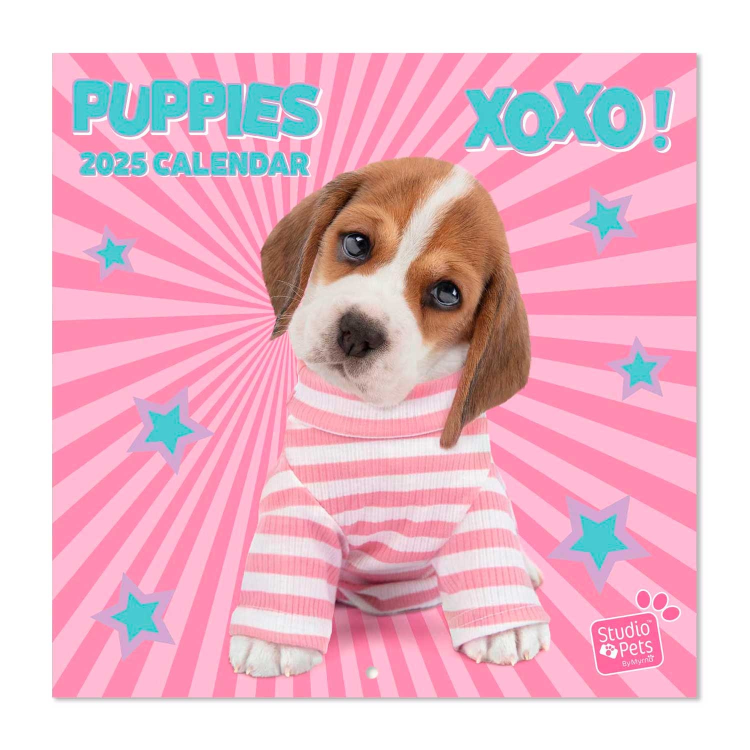 Puppies Kalender 2025