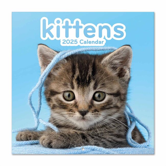 Grupo Kittens Calendar 2025