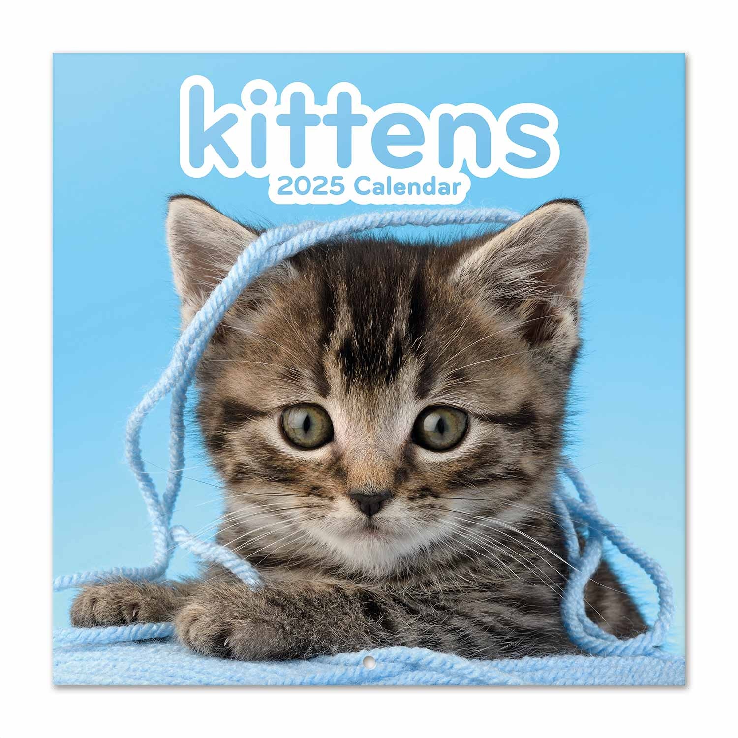 Kittens Kalender 2025