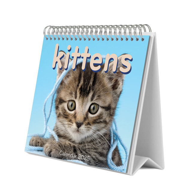 Grupo Kittens Desk Calendar 2025