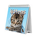 Grupo Kittens Desk Kalender 2025
