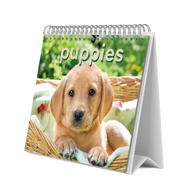 Puppies Desk Calendar 2025