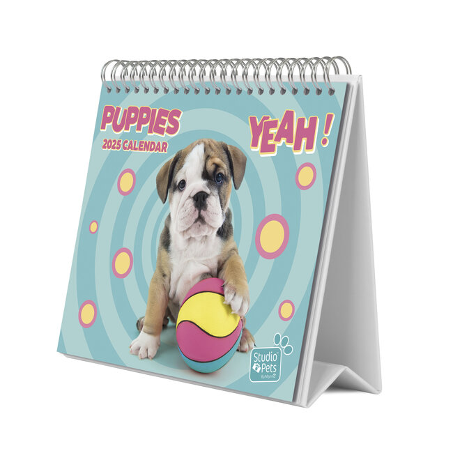 Calendario de escritorio Cachorros 2025