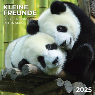 Tushita Little Friends Kalender 2025