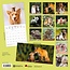 Little Friends Kalender 2025