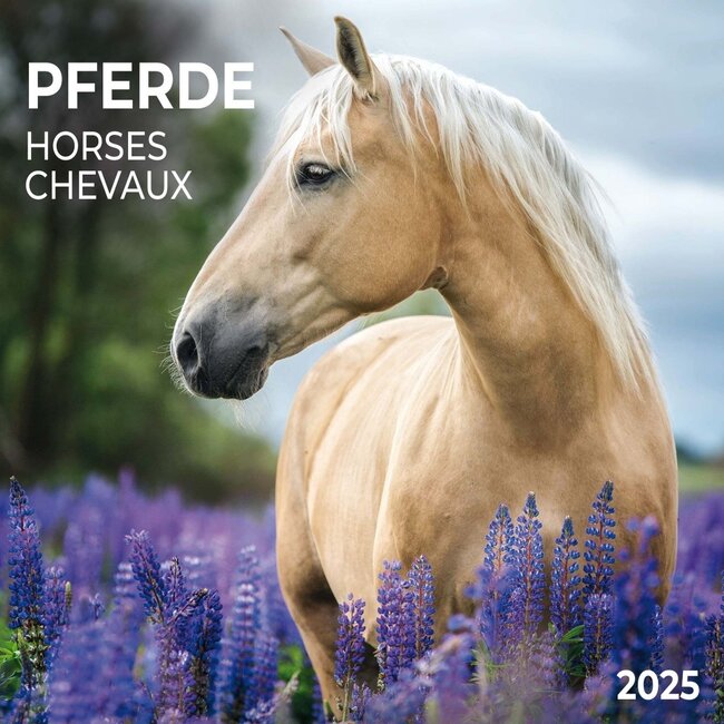 Caballos Calendario 2025