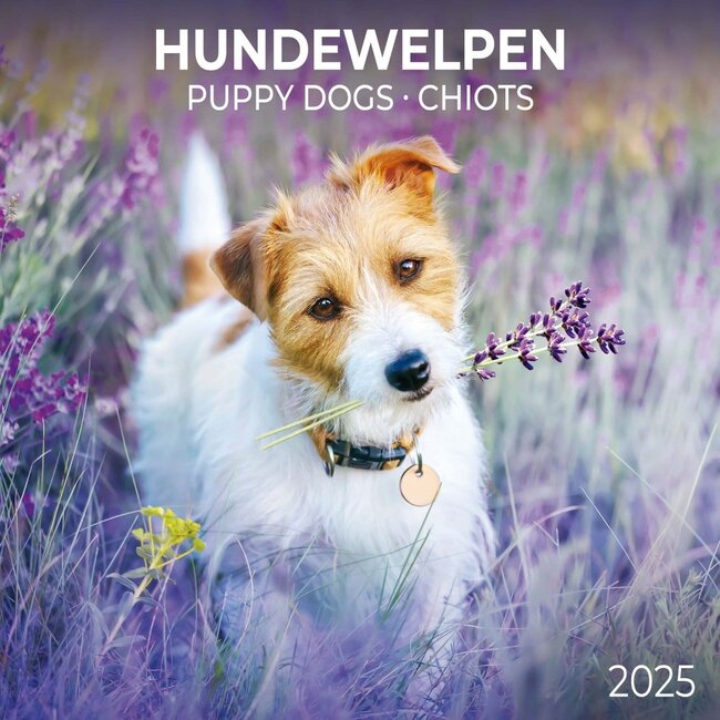Puppies Calendar 2025