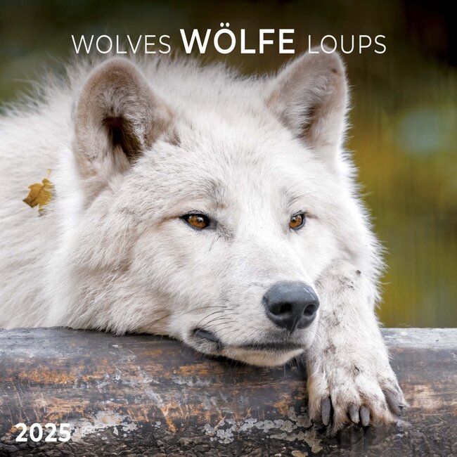 Calendario dei lupi 2025