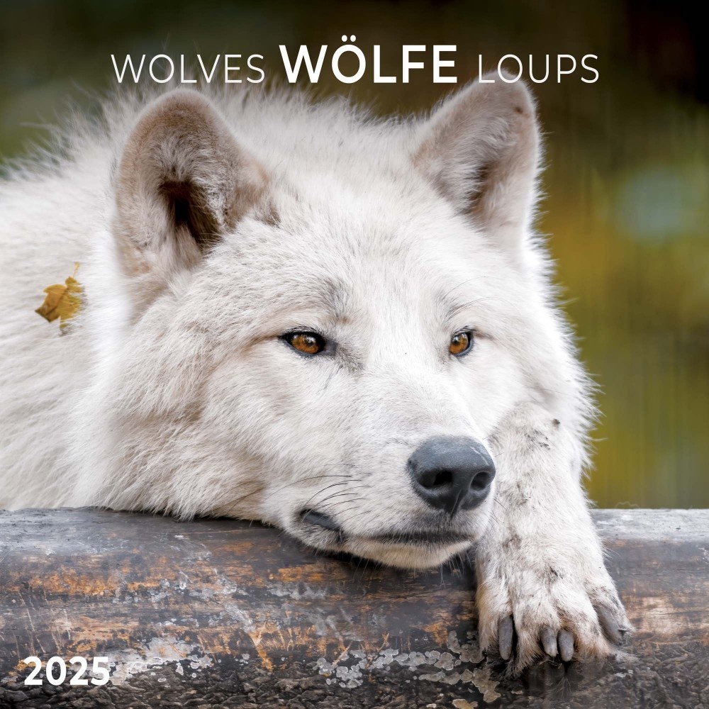 Wolven Kalender 2025