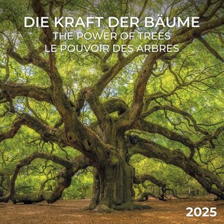 Tushita Calendario degli alberi 2025